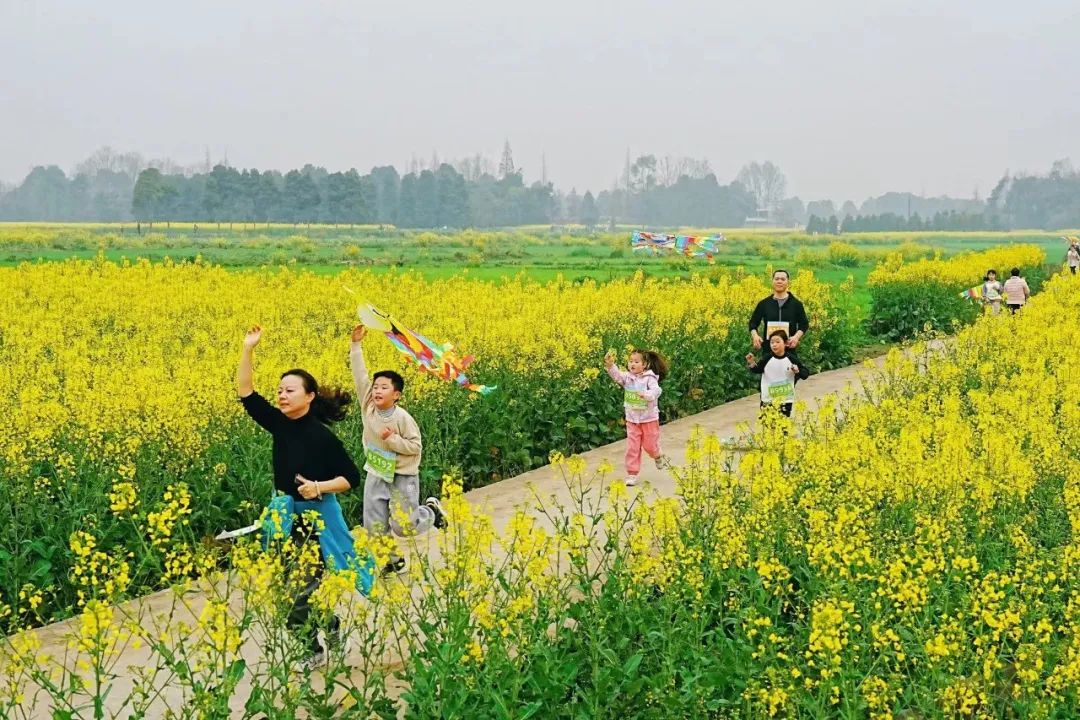 大邑春天国际美食_大邑春天国际食府电话_大邑县春天国际